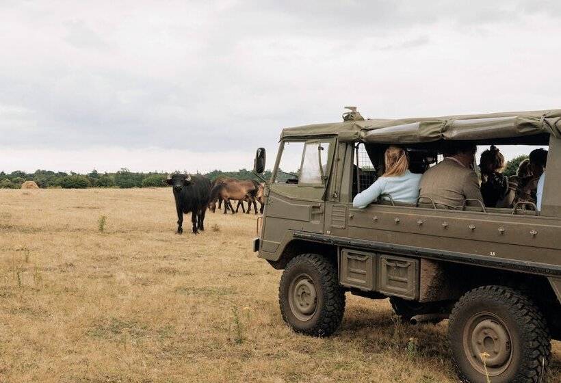 호텔 Fritton Lake The Clubhouse