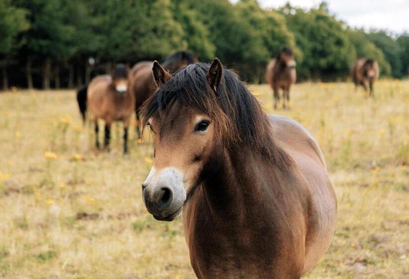 호텔 Fritton Lake The Clubhouse