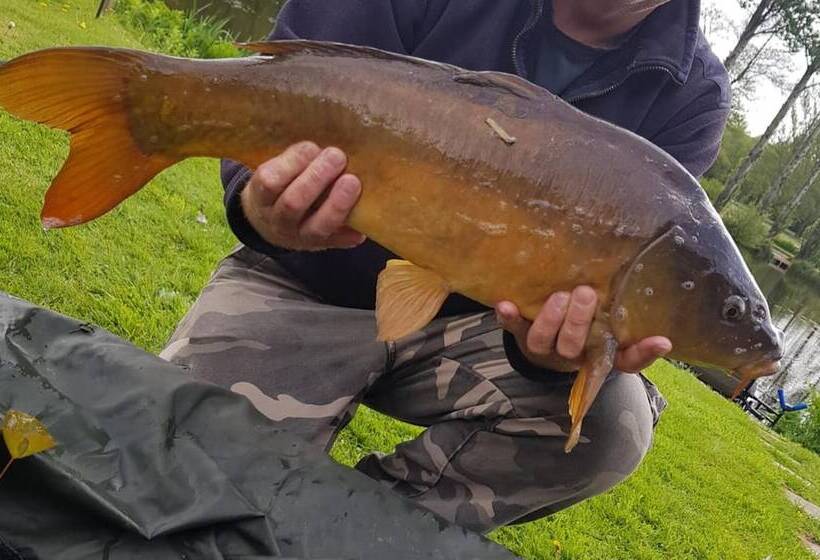 酒店 Immaculate 2 Bed Lodge Next To Lake