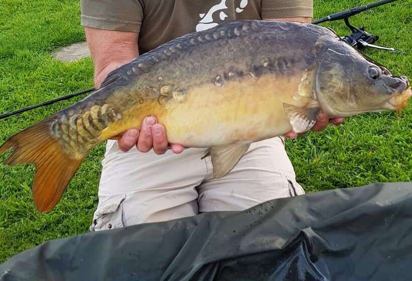 酒店 Immaculate 2 Bed Lodge Next To Lake