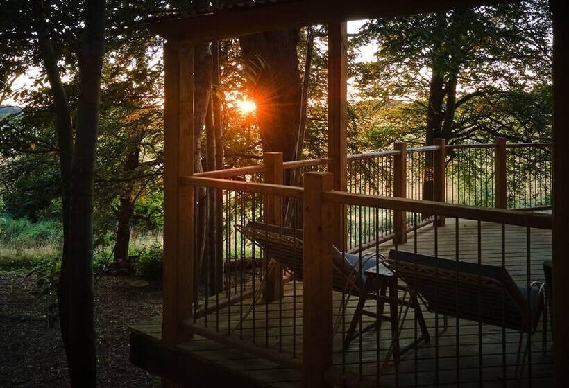 فندق Tree House Retreats