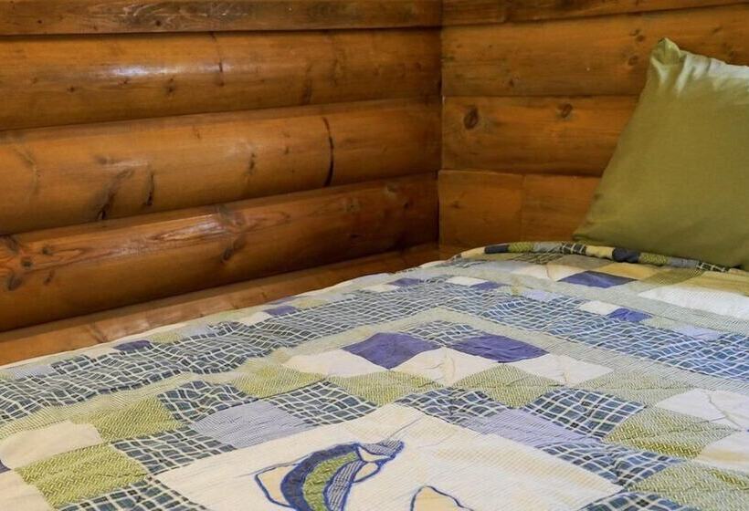 Отель Twin Pines Lodge & Cabins