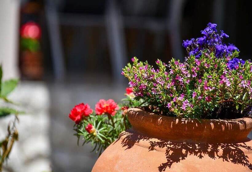 펜션 Apartments Jaklin