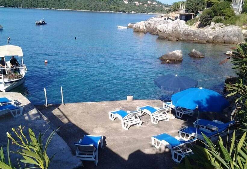 بنسيون Apartments Rašica Molunat