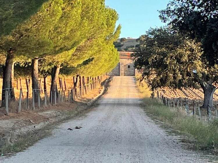 פנסיון La Centenaria De Alaraz