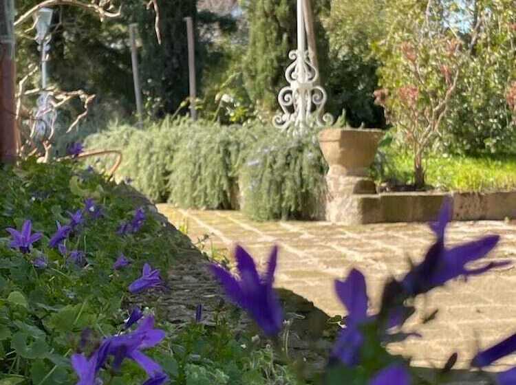 بنسيون Poggio Delle Molare Adults Only Retreat