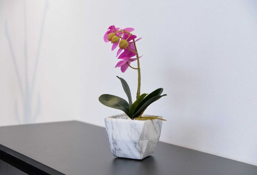 Пансион Room Marsonia