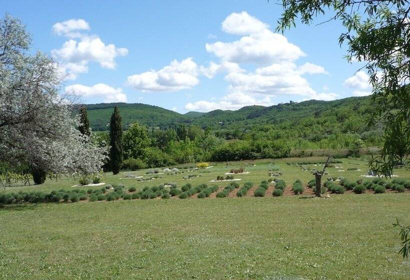 Пансион Sagnac 595