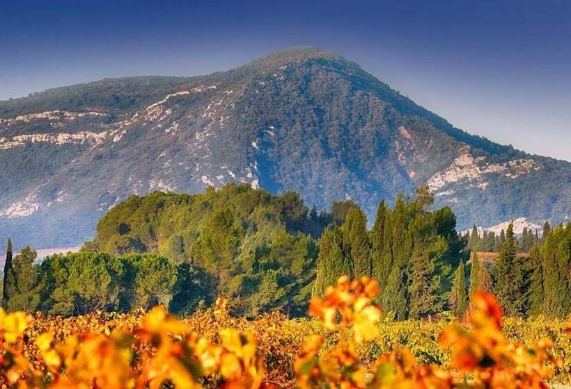 بنسيون Serge Le Belge Sejour Chez L Habitant