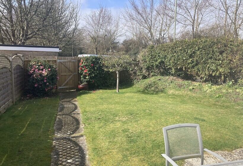 レジデンス Bungalow On The South Coast & New Forest