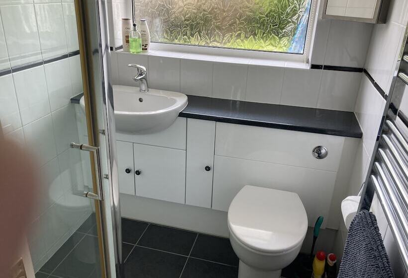 レジデンス Bungalow On The South Coast & New Forest