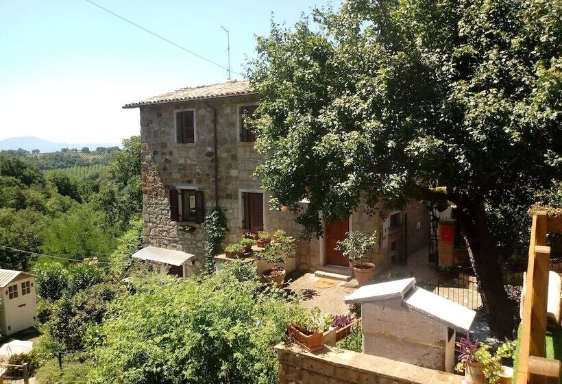 דירת נופש Stunning 1 Bed House In Castel Cellesi, Italy