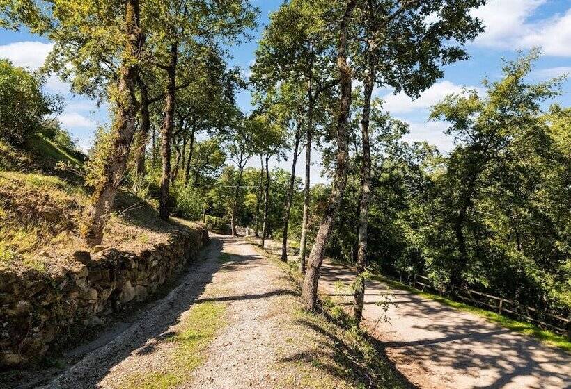 Romantic Cottage In San Feliciano With Garden