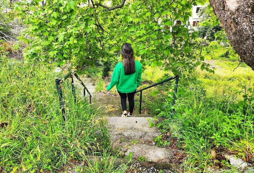 Yalla Chorefto   Hotel & Fun