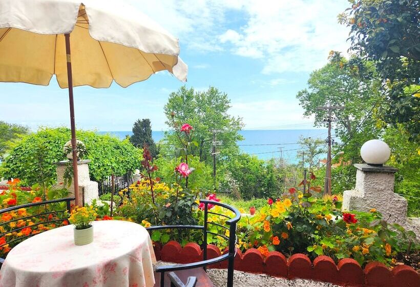 Yalla Chorefto   Hotel & Fun