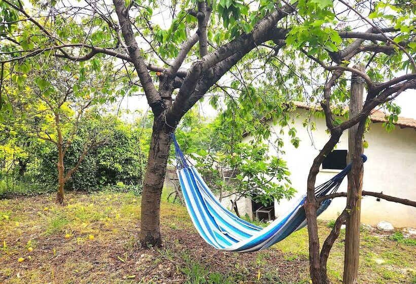 Yalla Chorefto   Hotel & Fun