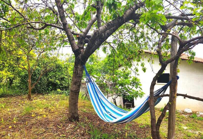 Yalla Chorefto   Hotel & Fun