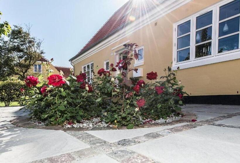 Bed and Breakfast Toftegården Guesthouse   Rooms