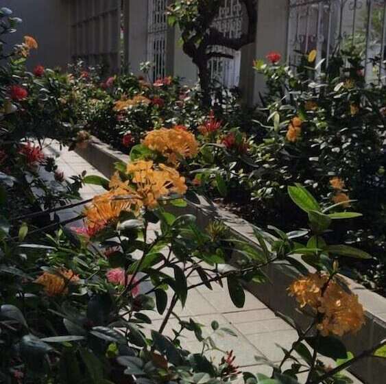 تختخواب و صبحانه Villa Garza Inn