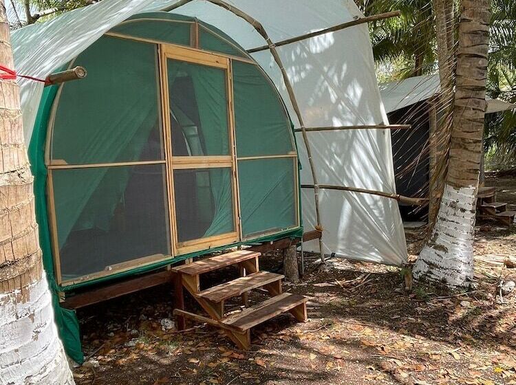 فندق Cayuco Maya