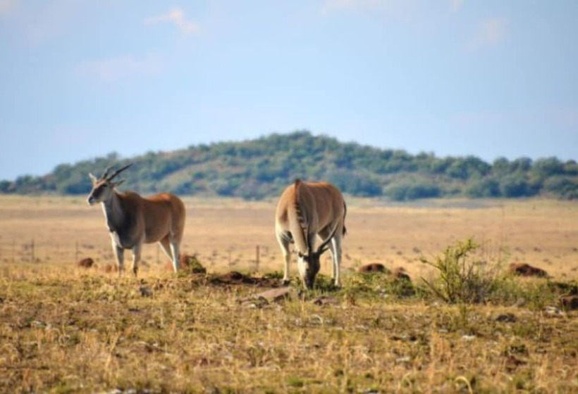فندق De Oude Kraal Country Estate And Spa