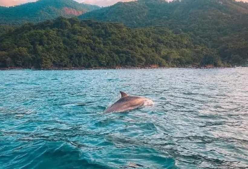 Отель Eco Pousada Tapera Das Palmas