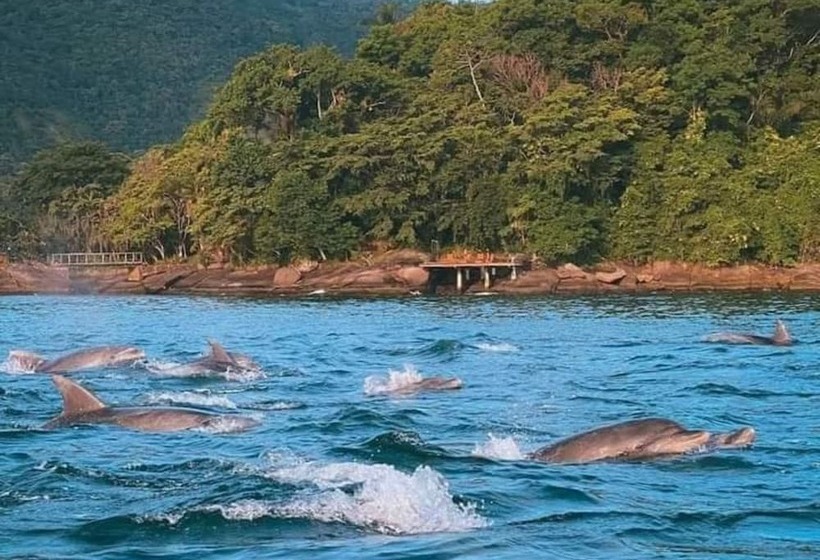 Отель Eco Pousada Tapera Das Palmas