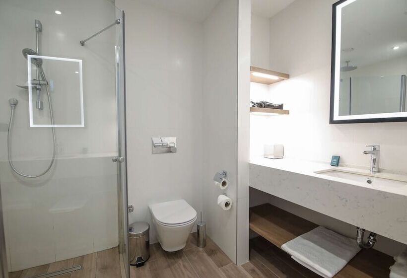 فندق Hilton Garden Inn Ankara Cankaya