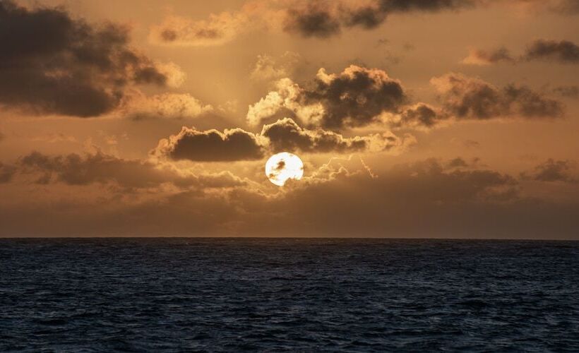 בית מלון כפרי Jaguarindia Village