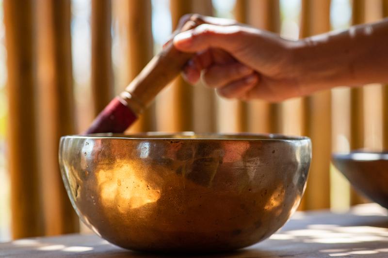 בית מלון כפרי Jaguarindia Village