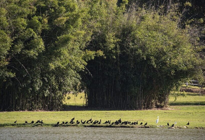 ホテル Maison Terroir