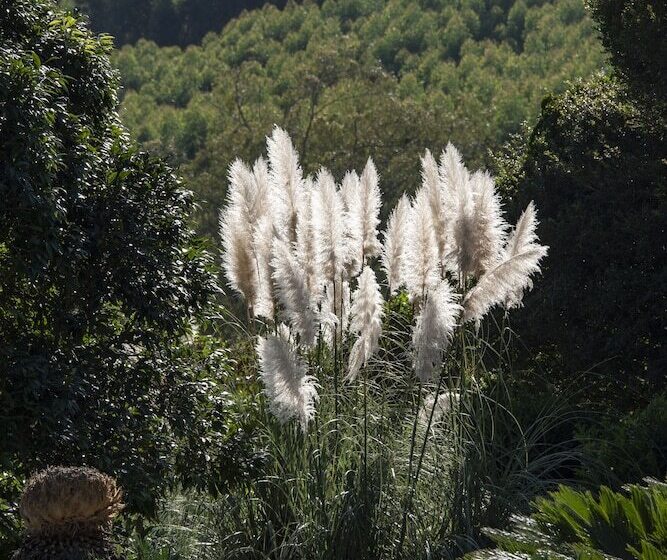 酒店 Maison Terroir