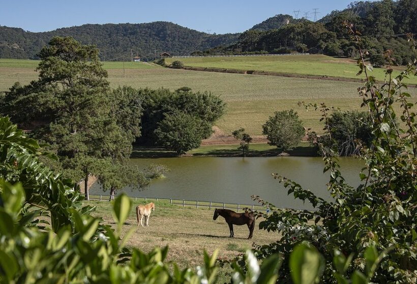 酒店 Maison Terroir