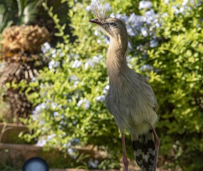 ホテル Maison Terroir