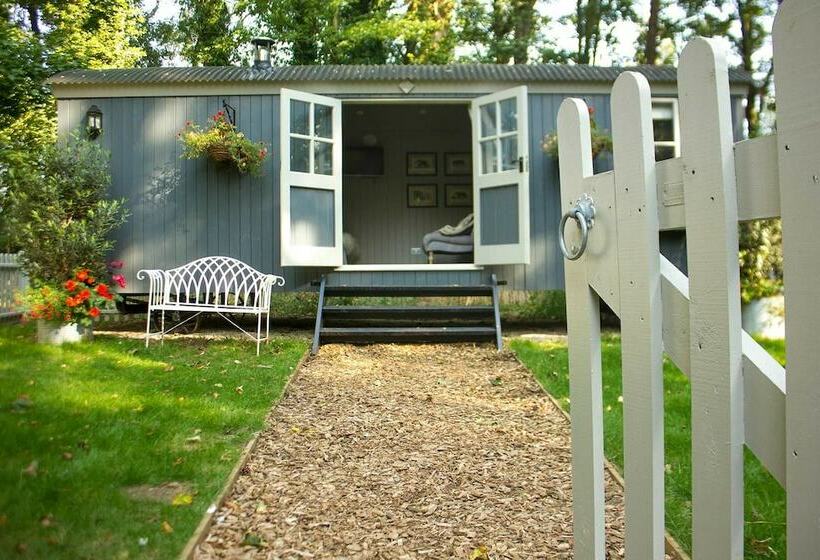 Отель Pinewood At Port Lympne Reserve