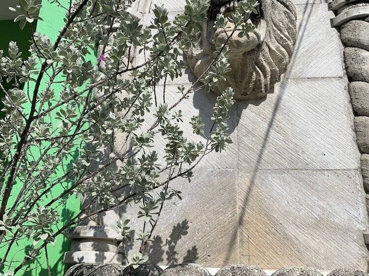 בית מלון כפרי Villa Leo Cancun Downtown