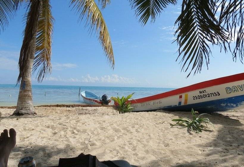 فندق Villas Roseliz Punta Allen