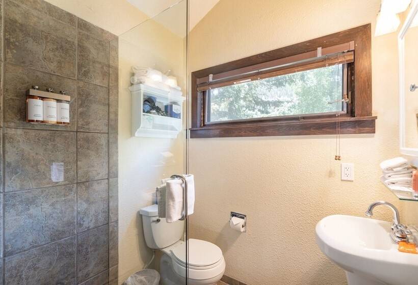 Manitou Lodge 5 Hotel Room By Alpine Lodging Telluride