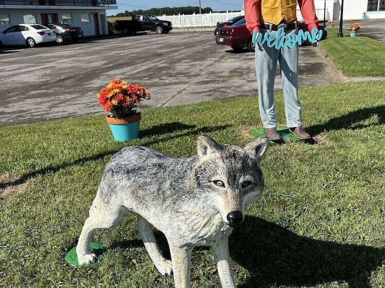 Motel Boutique By Wolf Inn