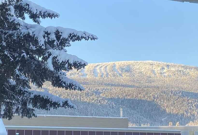 Mountain View Motel