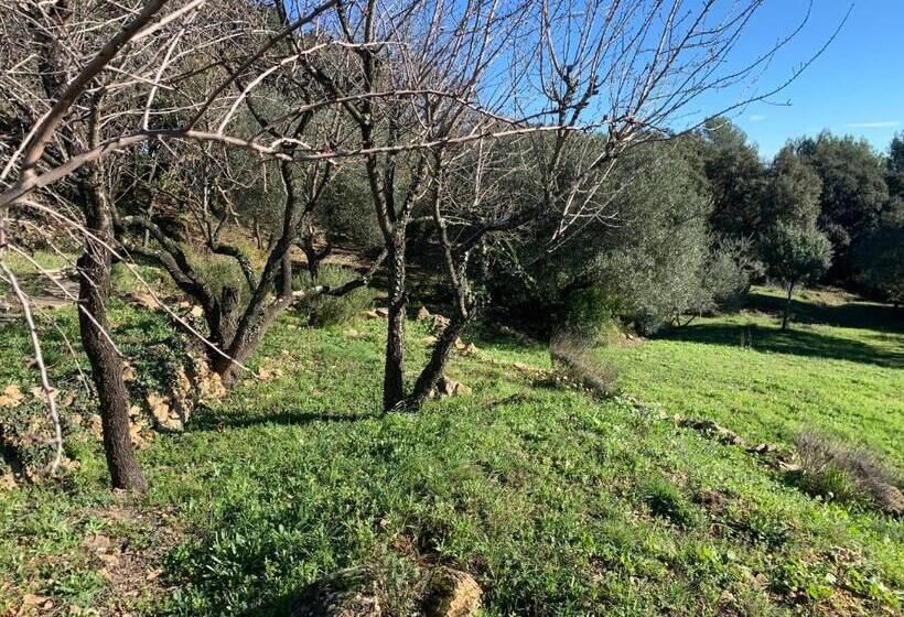 مبيت وإفطار Les Terrasses Des Gardies