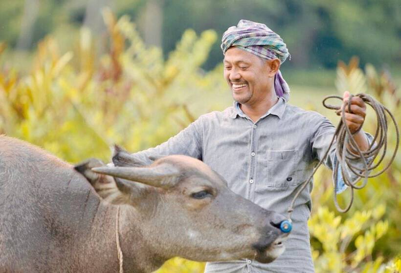 בית מלון כפרי Anantara Koh Yao Yai Resort & Villas