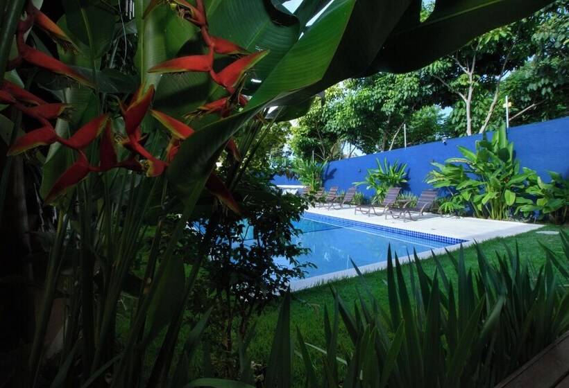 酒店 Aqui Bate A Brisa Pousada