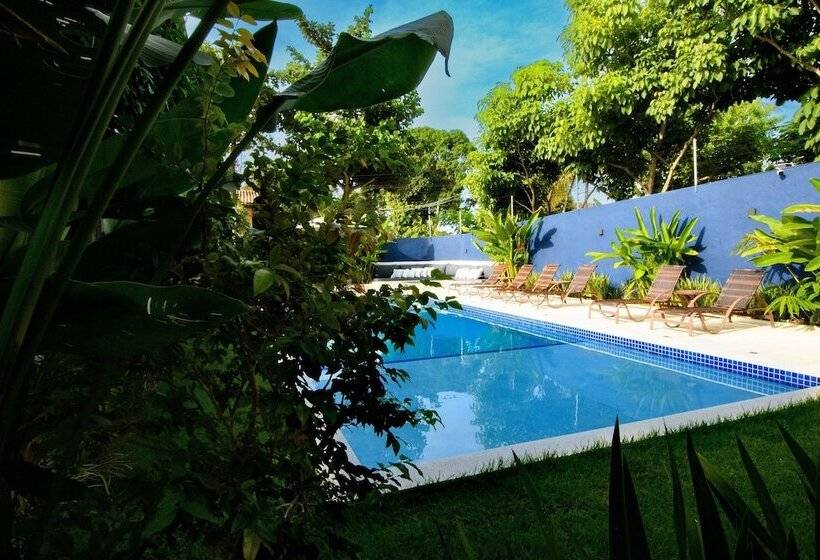 酒店 Aqui Bate A Brisa Pousada