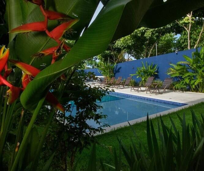 酒店 Aqui Bate A Brisa Pousada