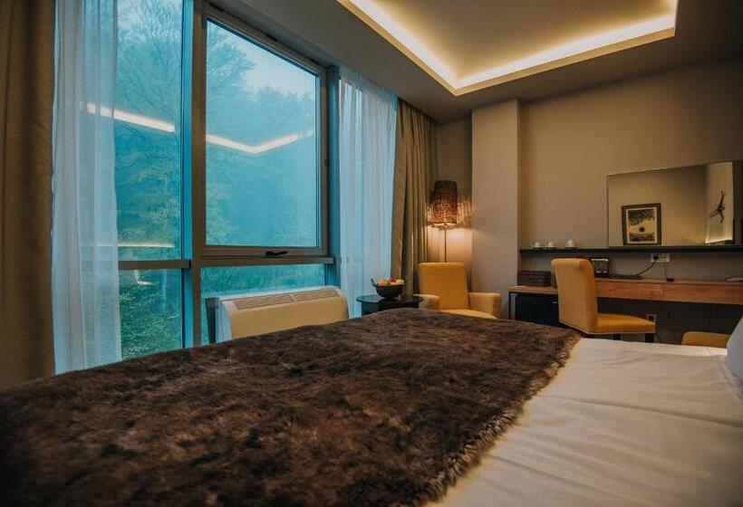 Balvanyos Resort   Peakture Hotel & Grand Hotel Balvanyos