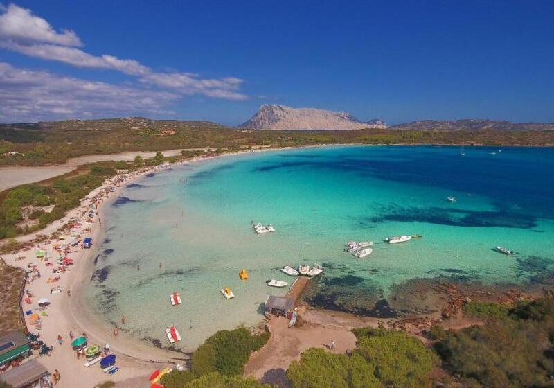 ホテル Futura Club Baja Bianca