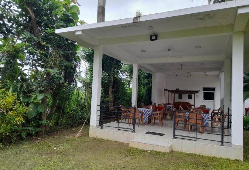 Отель Green Parrot Family Resort