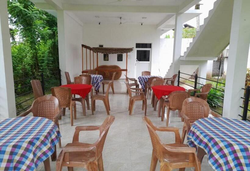 Отель Green Parrot Family Resort