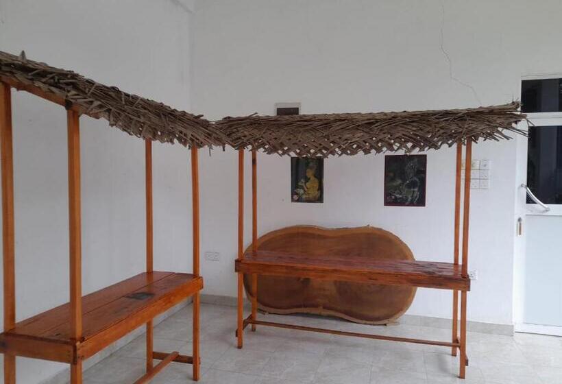 Отель Green Parrot Family Resort